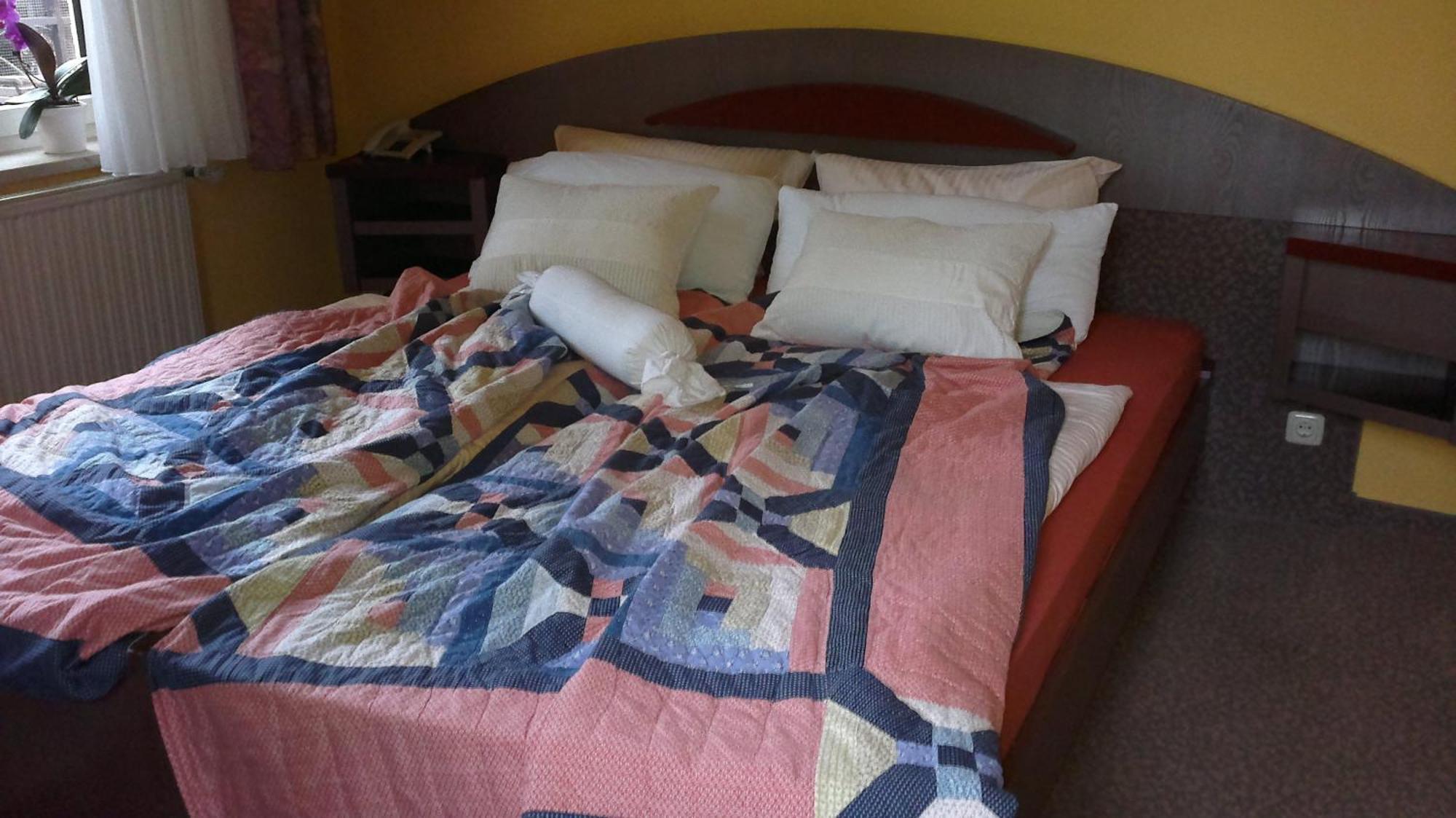 Hotel Vinum Niederwurschnitz 部屋 写真