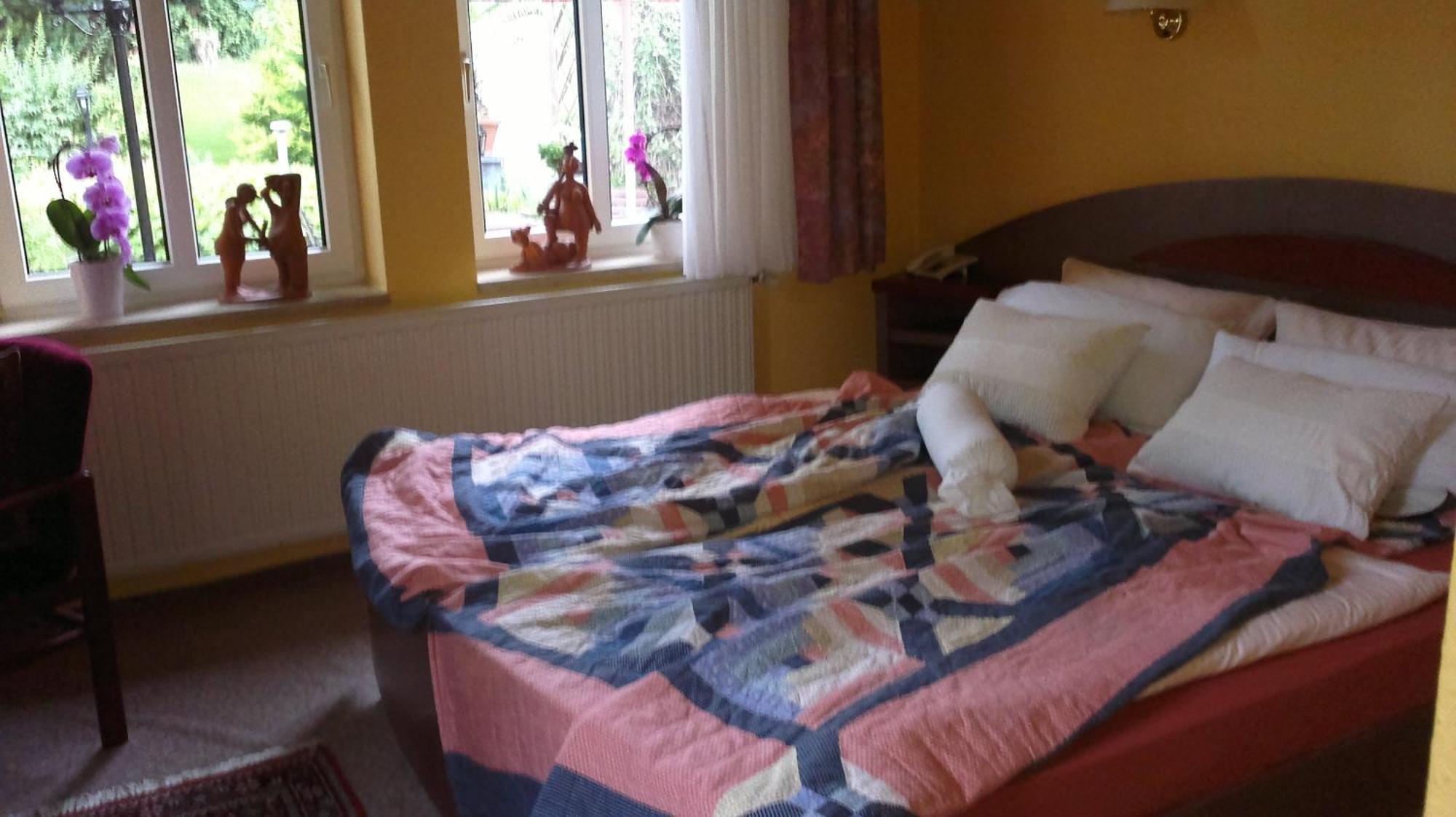 Hotel Vinum Niederwurschnitz 部屋 写真